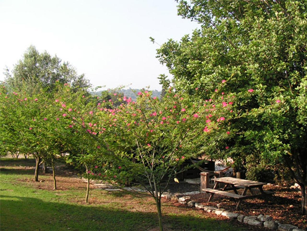 Amikam Meshek 81 משק 81 עמיקם别墅 外观 照片
